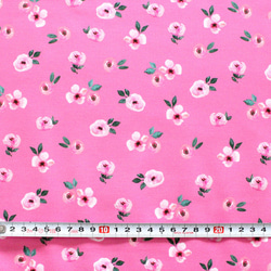 カットクロス Felicity Fabrics Nightfall Floral in Afternoon 610113 3枚目の画像