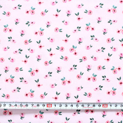 カットクロス Felicity Fabrics Nightfall Floral in Afternoon 610112 3枚目の画像