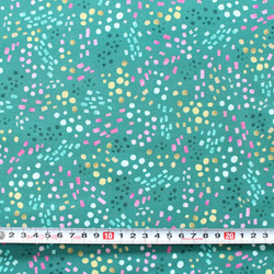 カットクロス Felicity Fabrics Nightfall Floral in Afternoon 610114 3枚目の画像