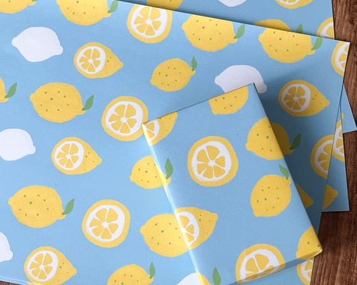 れもん　オーダー LOWELL - COTTON OVERSIZE PULLOVER SHIRT – HARUNOBUMURATA