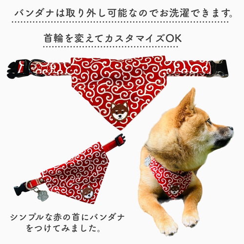 首輪 バンダナ セット 犬用 猫用 首輪 スカーフ 和柄 唐草模様