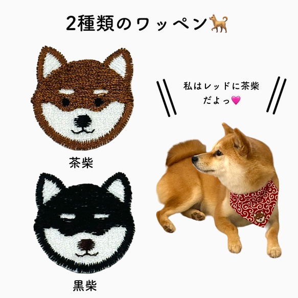 首輪 バンダナ セット 犬用 猫用 首輪 スカーフ 和柄 唐草模様 可愛い オシャ柴犬 豆柴 速乾 新作 5枚目の画像