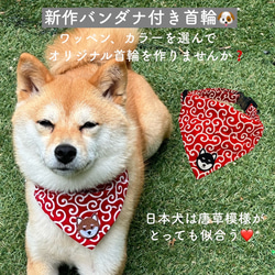 首輪 バンダナ セット 犬用 猫用 首輪 スカーフ 和柄 唐草模様 可愛い オシャ柴犬 豆柴 速乾 新作 2枚目の画像