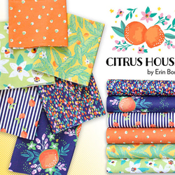 カットクロス Paintbrush Studio Fabrics Citrus House Blossom 7枚目の画像