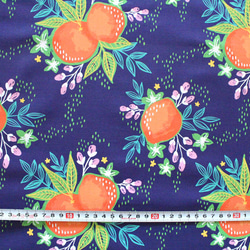 カットクロス Paintbrush Studio Fabrics Citrus House Grove Bouquet 3枚目の画像