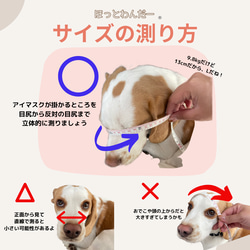 ドクターモデル【M】ほっとわんだーアイマスク★犬のアイマスク 7枚目の画像