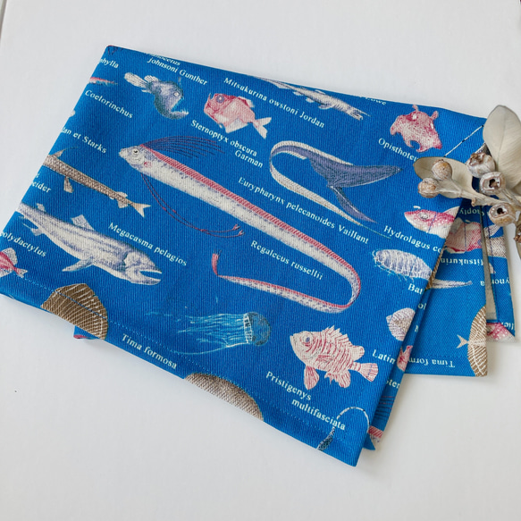 ランチョンマット　ランチマット　男の子　女の子　海の生き物　リュウグウノツカイ　深海魚　図鑑 2枚目の画像