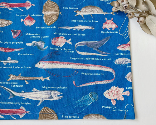 R9☆ランチマット5枚セット40×50 ネームタグ付海の生き物魚サメ