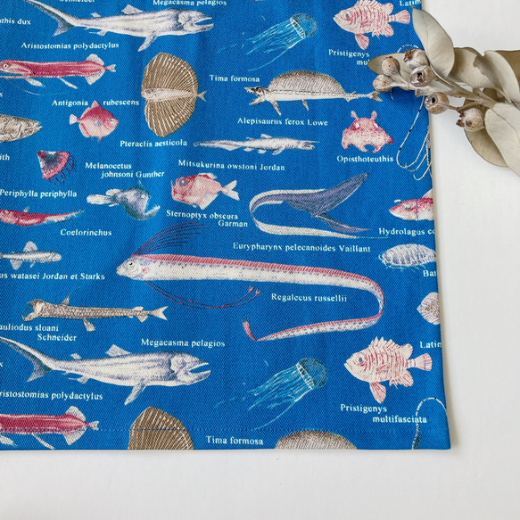 R9☆ランチマット 5枚セット 40×50 ネームタグ付 海の生き物 魚 サメ