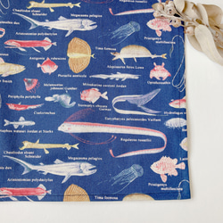 be224aed50c068778b3b9203458218