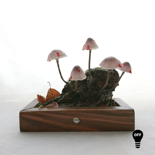 チシオタケのランプ3（血潮） スタンドライト・テーブルランプ Darwin  