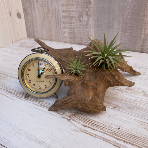 流木インテリア オブジェ ディスプレイ 1070200013 その他インテリア