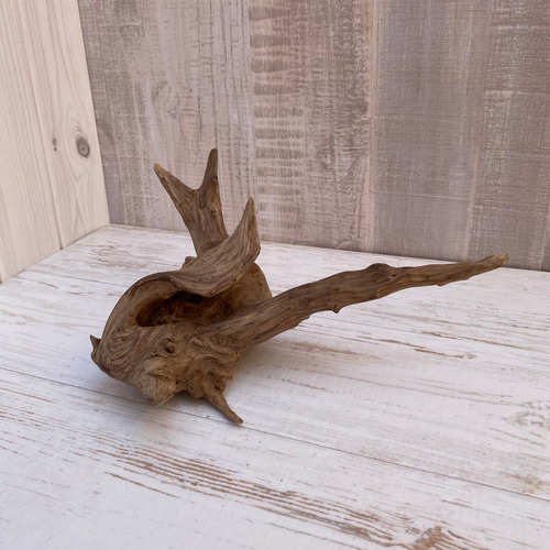 流木インテリア オブジェ ディスプレイ 1070200013 その他インテリア