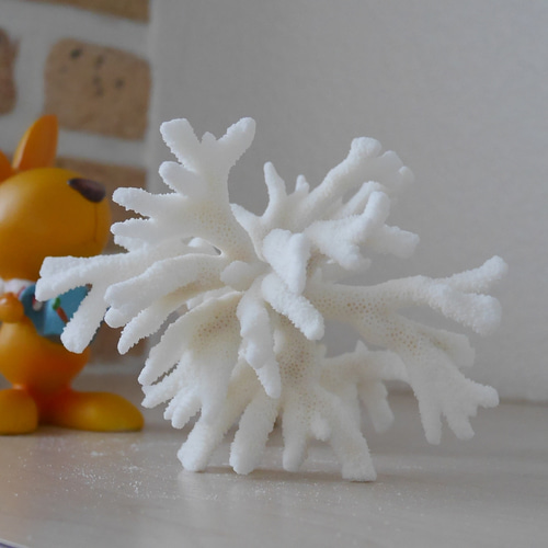 ホワイトコーラル 置物 ホワイトコーラル 置物 【公式通販】