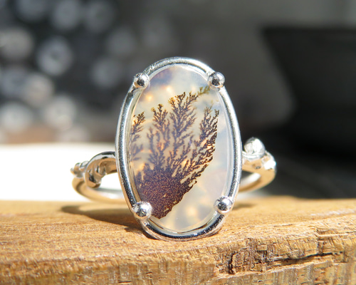 Agat アゲート リング デンドリティック アゲートリング / Dendritic Agate Ring 5b