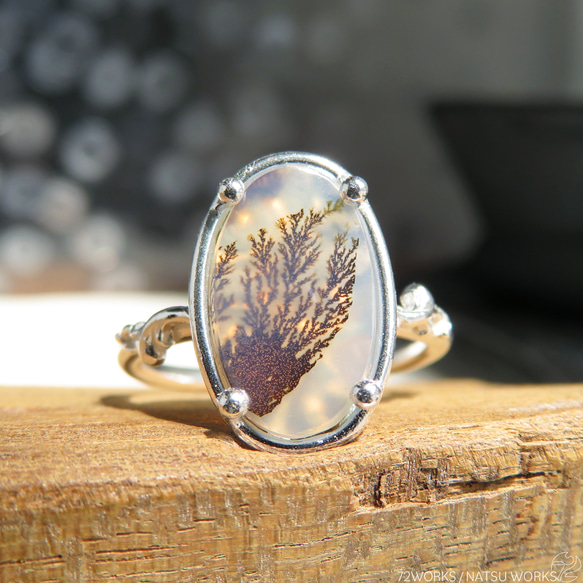 デンドリティック　アゲートリング デンドリティック アゲートリング / Dendritic Agate Ring 5b