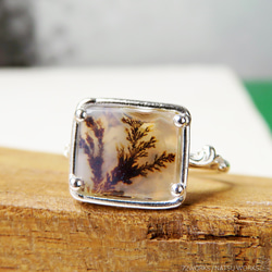 デンドリティック アゲートリング / Dendritic Agate Ring 5f 3枚目の画像