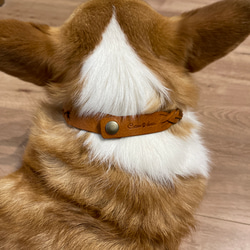 犬　首輪　ペット　首輪　チョーカー　革小物　ハンドメイド　レザークラフト　レザー小物　アクセサリー　革首輪　ブレスレット 3枚目の画像