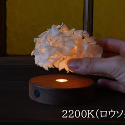 Light Base (maru-walnut-2200K)　ライトベース 丸 ウォルナット ロウソクの光 1枚目の画像