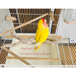 流木インテリア バードケージ用の天然流木の止まり木 鳥かご ケージ ニームパーチ インコ とまり台 N7 3枚目の画像