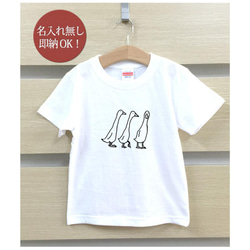 【全国送料無料】三匹のアヒル ダック 鳥 ベビー キッズ Tシャツ おもしろTシャツ 綿100% カラー7色 2枚目の画像