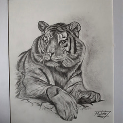 鉛筆画 タイガー 絵画 makochin 通販 16000252｜Creema(クリーマ)