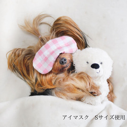 しぐれうい 犬　俺がしぐれういだアイマスク犬 一番くじ しぐれうい│株式会社BANDAI SPIRITS（バンダイ