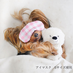 ドクターモデル【SS】ほっとわんだーアイマスク★犬のアイマスク 1枚目の画像