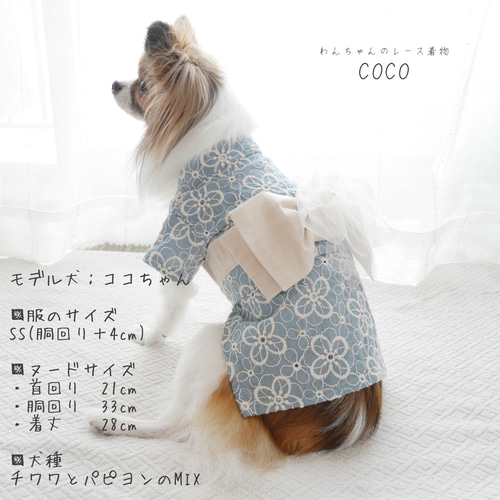 犬服浴衣】お花の集まり レース浴衣 ＊サックスブルー＊ ペット服 ...