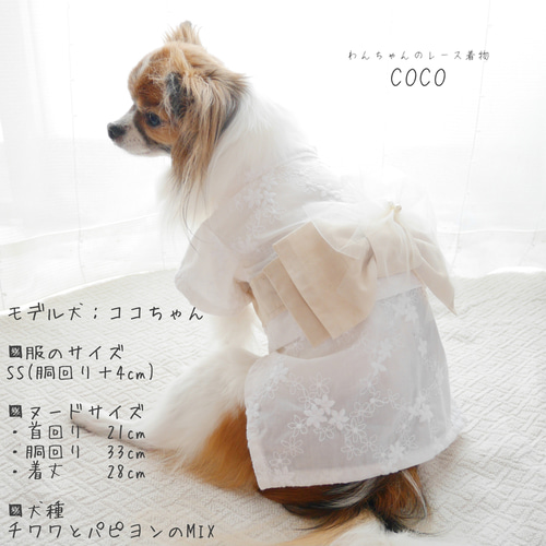 犬服浴衣】可憐なお花のたより レース浴衣 ＊オフホワイト＊ ペット服 ...