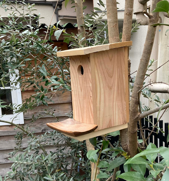 小鳥のお家（小鳥さんご夫婦が子育てをしてくれる巣箱です（＾＾❣️） 1枚目の画像