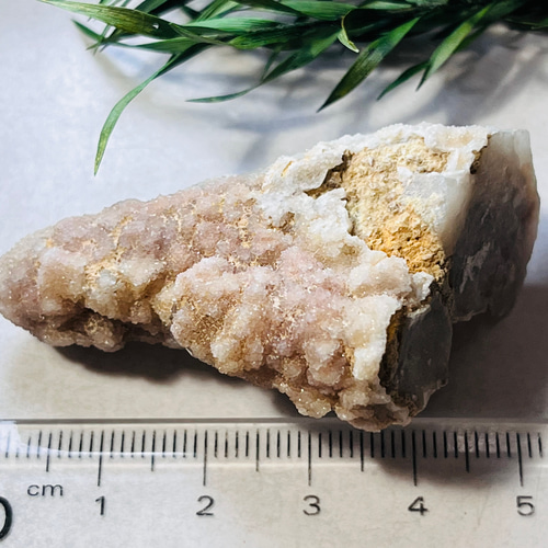 精霊を呼ぶ石✨ 変種 カクタスアメジスト サボテン水晶 ラフ