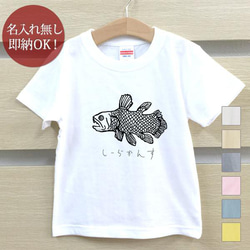 【全国送料無料】シーラカンス 魚 深海魚 古代魚 ベビー キッズ Tシャツ おもしろTシャツ 綿100% カラー7色 1枚目の画像