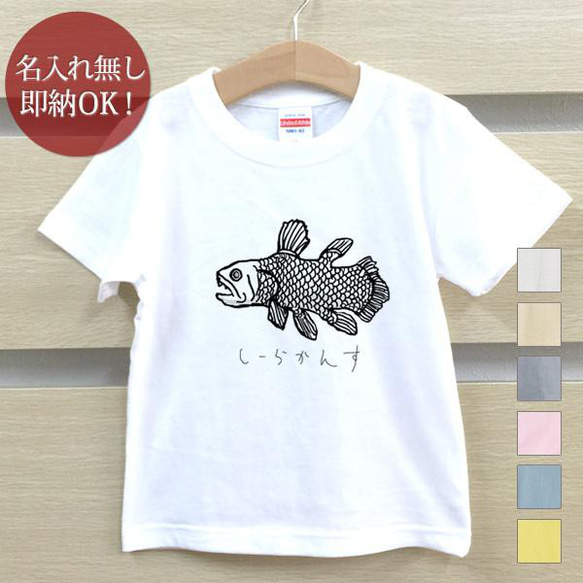 【全国送料無料】シーラカンス 魚 深海魚 古代魚 ベビー キッズ Tシャツ おもしろTシャツ 綿100% カラー7色 1枚目の画像