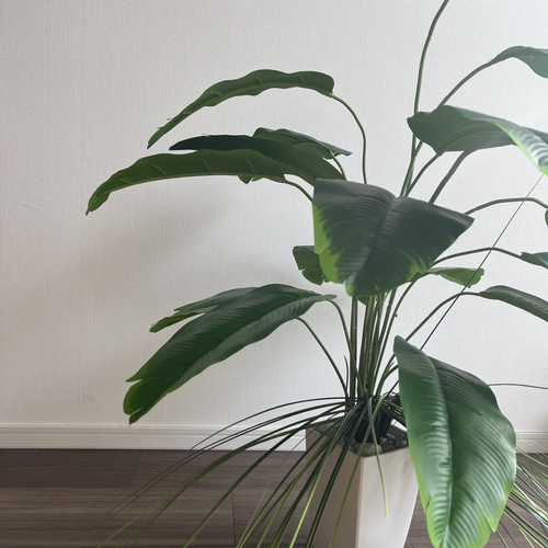 限定セット 人工観葉植物 フェイクグリーン バナナリーフ オニオン