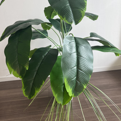 限定セット 人工観葉植物 フェイクグリーン バナナリーフ  オニオングラス 4枚目の画像
