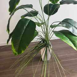 限定セット 人工観葉植物 フェイクグリーン バナナリーフ  オニオングラス 3枚目の画像