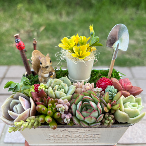 ☆送料無料☆♡そのまま飾れる♡リスちゃんのガーデン♬多肉植物寄せ