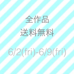 国内送料無料キャンペーン中❤️❣️ 1枚目の画像