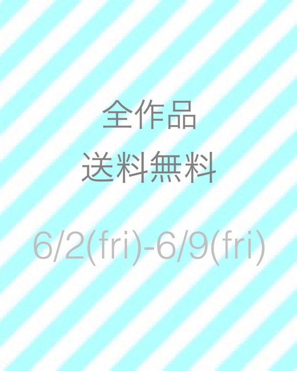 国内送料無料キャンペーン中❤️❣️ 1枚目の画像