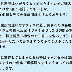 ネイルチップ/ニュアンス/うねうね/シアーカラー/アシメネイル/ちぐはぐネイル/ぷっくりネイル 11枚目の画像