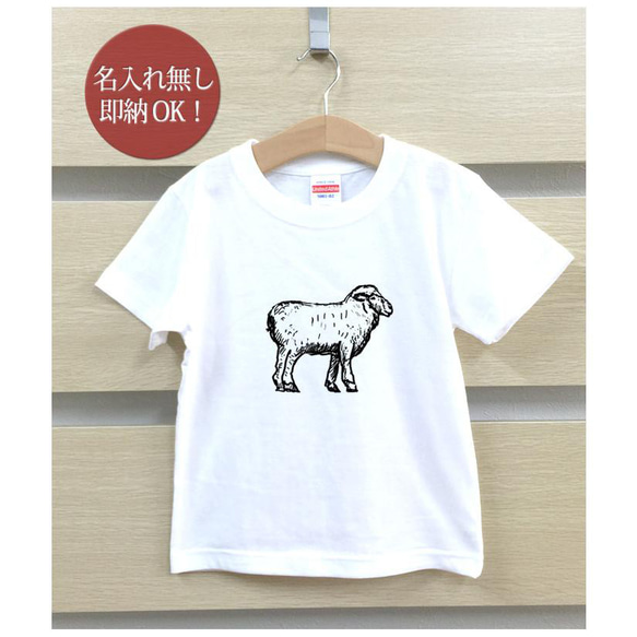 【全国送料無料】羊 ひつじ シープ 動物 ベビー キッズ Tシャツ おもしろTシャツ 綿100% カラー7色 2枚目の画像