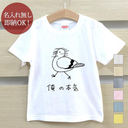 【全国送料無料】 俺の本気 鳩 ハト 動物 鳥 ベビー キッズ Tシャツ おもしろTシャツ 綿100% カラー7色 1枚目の画像