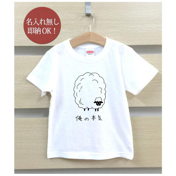 【全国送料無料】 俺の本気 羊 ひつじ シープ 動物 ベビー キッズ Tシャツ おもしろTシャツ 綿100% カラー7色 2枚目の画像