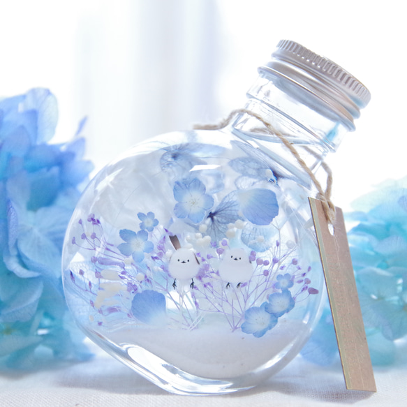 【特集掲載！再販32】シアワセの瓶詰メ～シマエナガとネモフィラの花景色　柔らかブルーとホワイトの清楚で愛らしいミニボトル 1枚目の画像