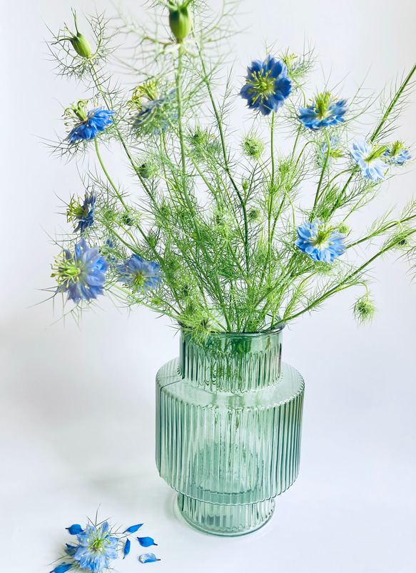 Blue meadow　‐　青い草原　‐　花器付きアレンジ 10枚目の画像