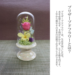 仏花 ドーム プリザーブドフラワー ガラスドーム「 庭園」 お悔やみ お供え 8枚目の画像