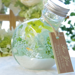 【作りたて！再販4】シアワセの瓶詰メ～メダカとすずらんの花景色　清らかなブルーグリーンとホワイトの澄んだ水景色 5枚目の画像
