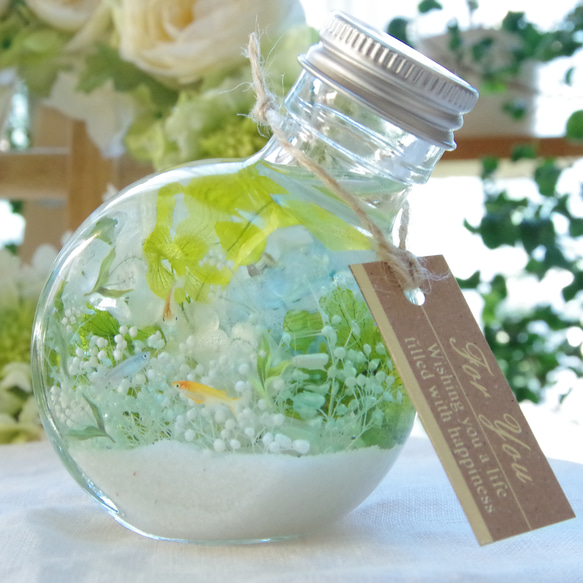 【作りたて！再販4】シアワセの瓶詰メ～メダカとすずらんの花景色　清らかなブルーグリーンとホワイトの澄んだ水景色 7枚目の画像