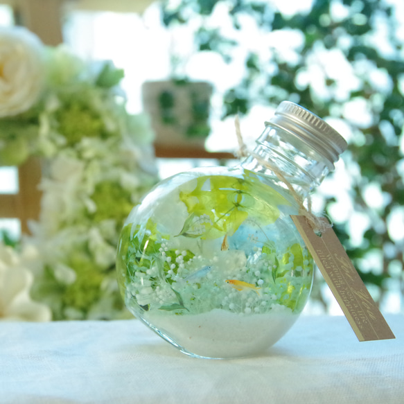 【作りたて！再販4】シアワセの瓶詰メ～メダカとすずらんの花景色　清らかなブルーグリーンとホワイトの澄んだ水景色 2枚目の画像